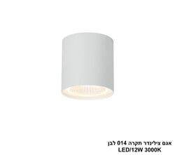 אגם צילינדר תקרה 014 לבן (25557)