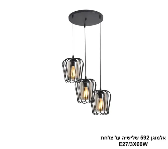 אלמוגן 592 שלישיה על צלחת