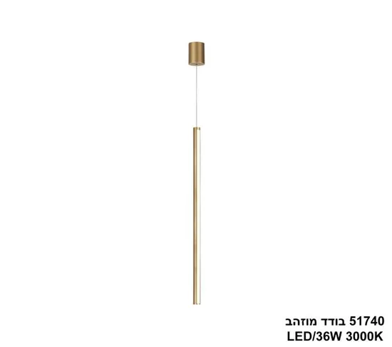 51740 בודד מוזהב