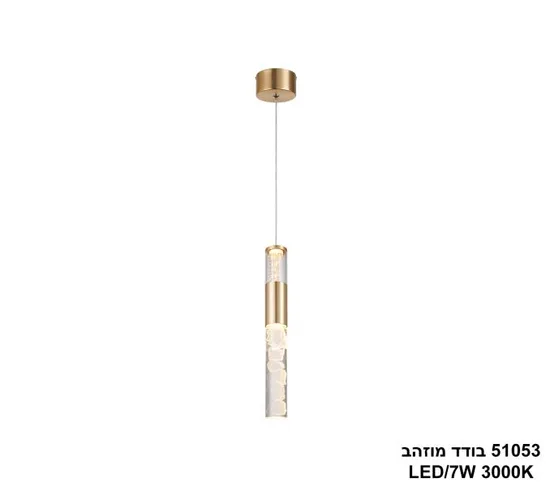 51053 בודד מוזהב